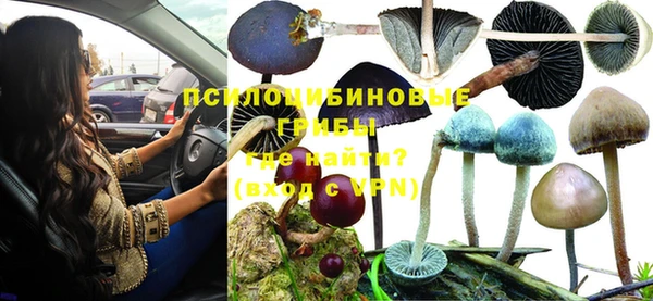 MDMA Вяземский