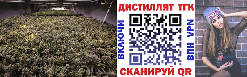 Купить где  Катав-Ивановск  ТГК концентрат 