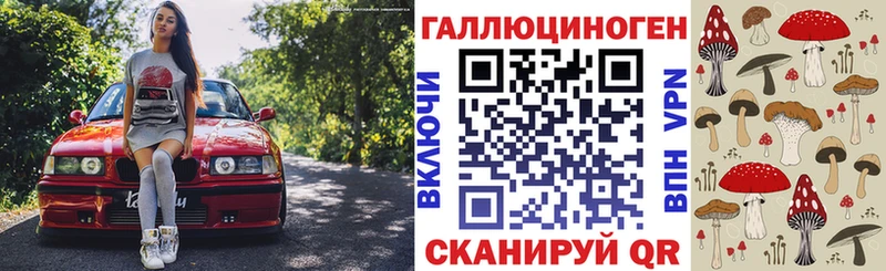 Галлюциногенные грибы Psilocybe  Купить  Катав-Ивановск 